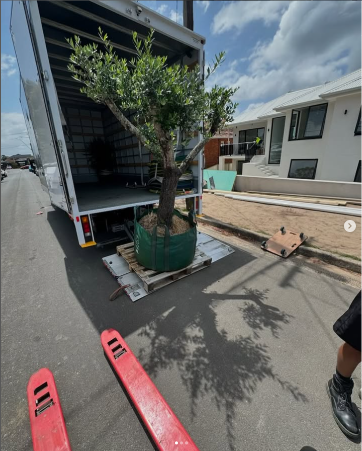 Removalist in Eastern Suburds Sydney